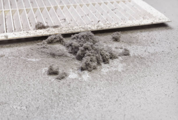 Best Best Air Duct Cleaning Company  in , NV
