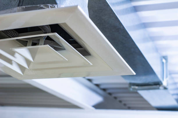Best Professional Duct Cleaning Services  in , NV