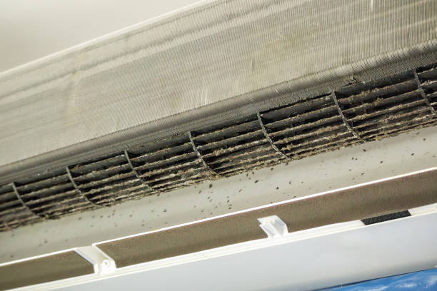 Best Local Air Duct Cleaning Services  in , NV
